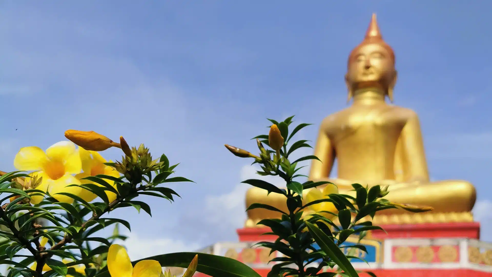 Preise in Thailand | Ausflüge 1