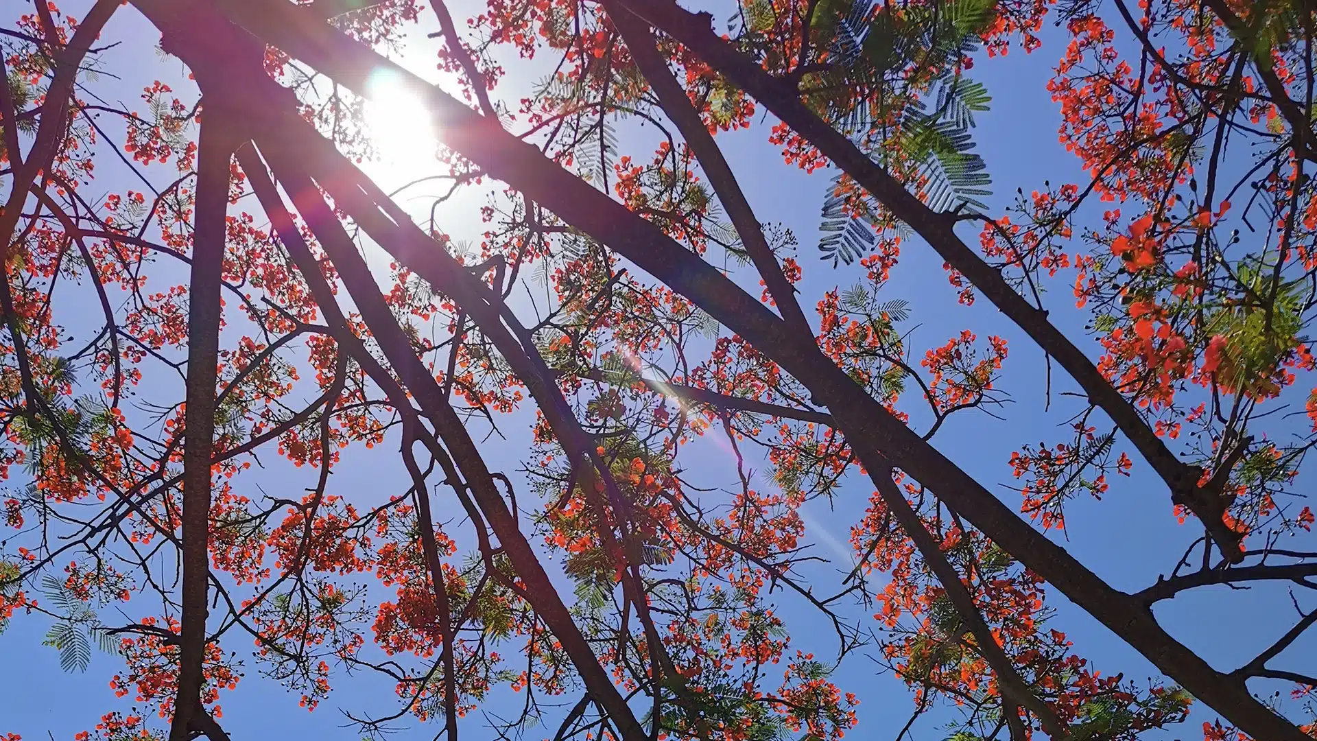 Sommer 2 | Sehenswürdigkeiten auf Koh Lanta