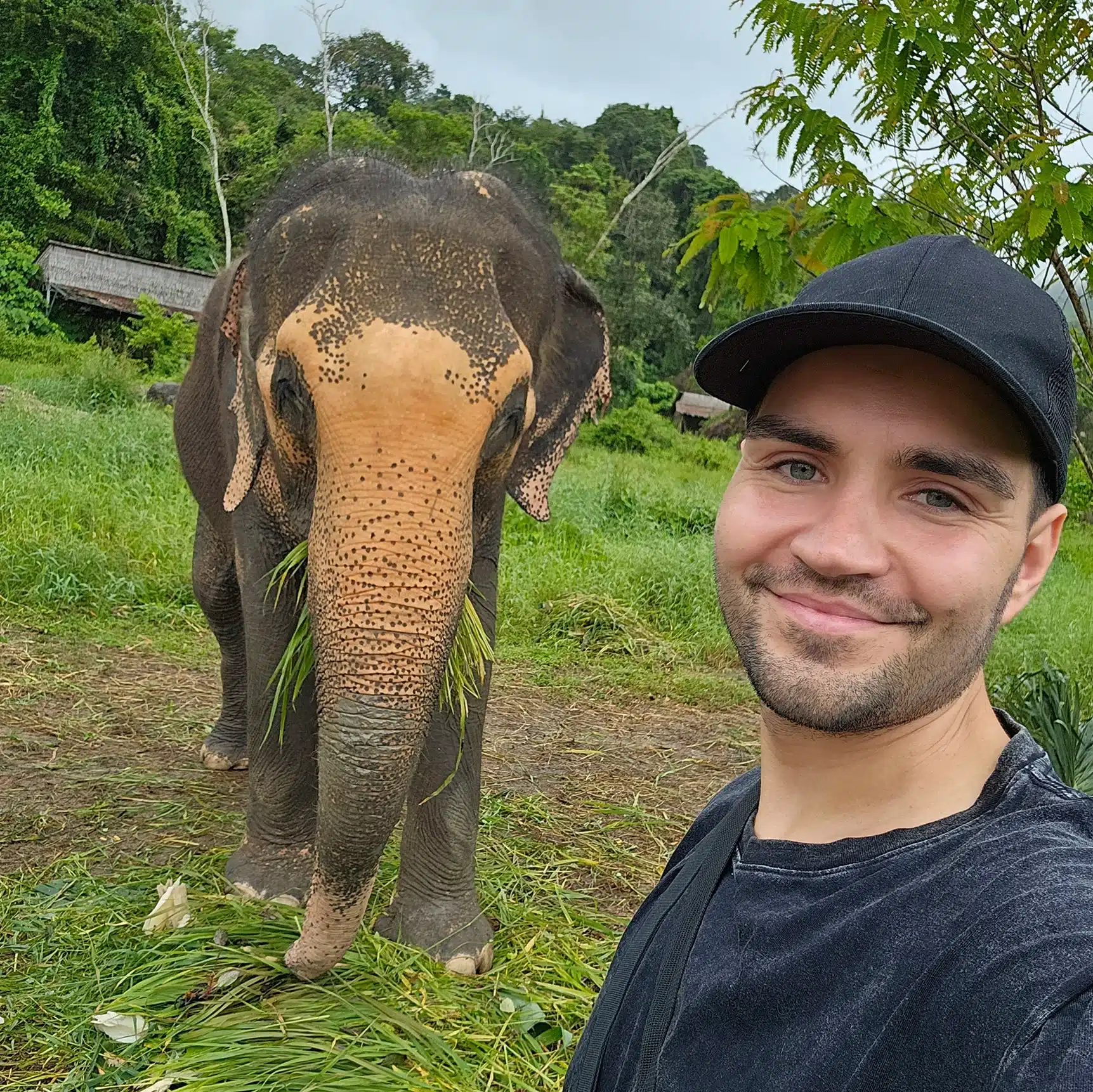 Autorenprofil | Avatar Dennis 1