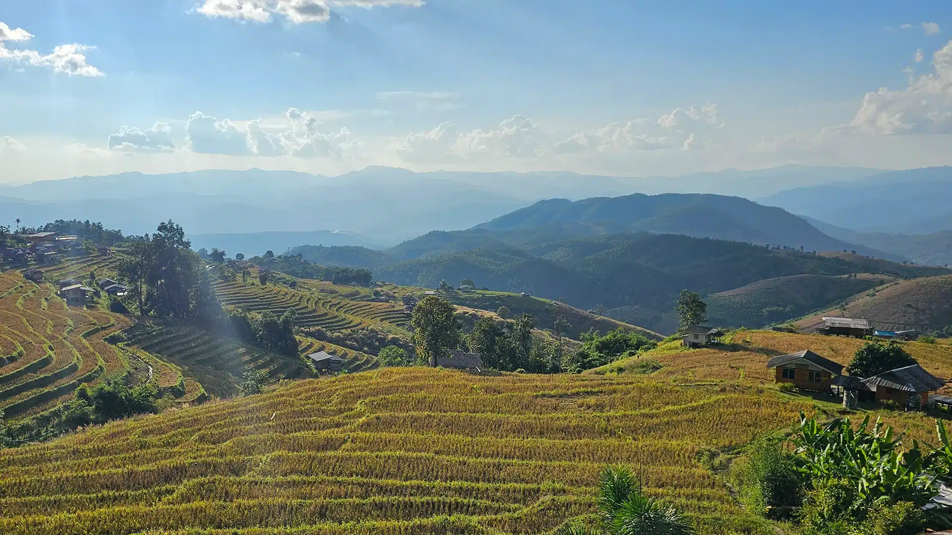 Header | Die schönsten Reisfelder in Thailand 2