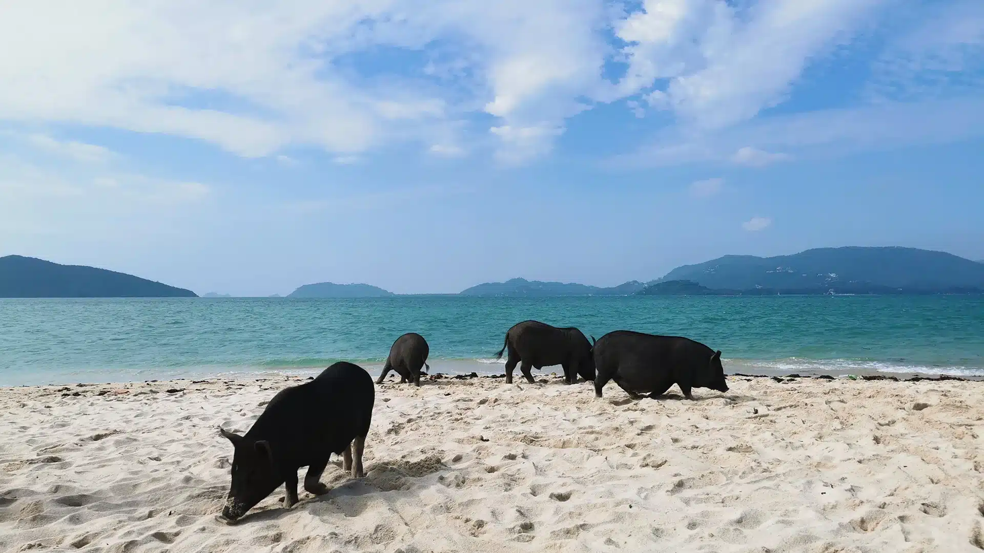 Koh Madsum 2 | Sehenswürdigkeiten auf Koh Samui