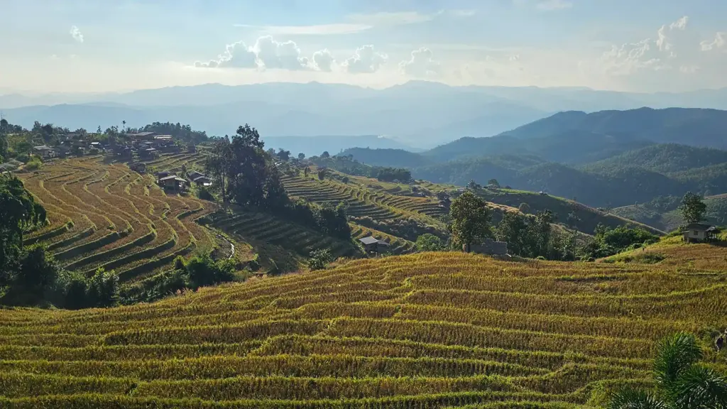 Pa Pong Piang Reisterrassen | Sehenswürdigkeiten im Doi Inthanon Nationalpark