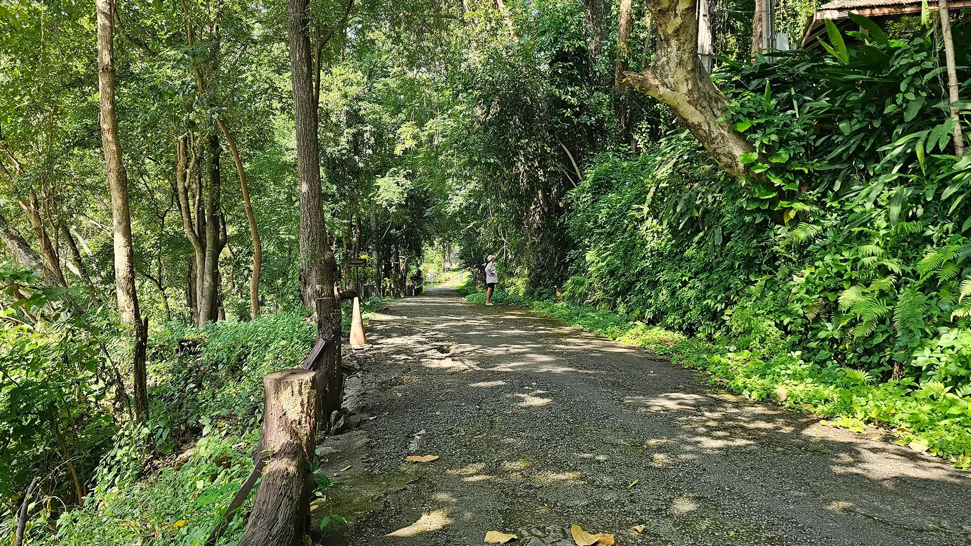 Mae Klang Waterfall 11 | Sehenswürdigkeiten im Doi Inthanon Nationalpark