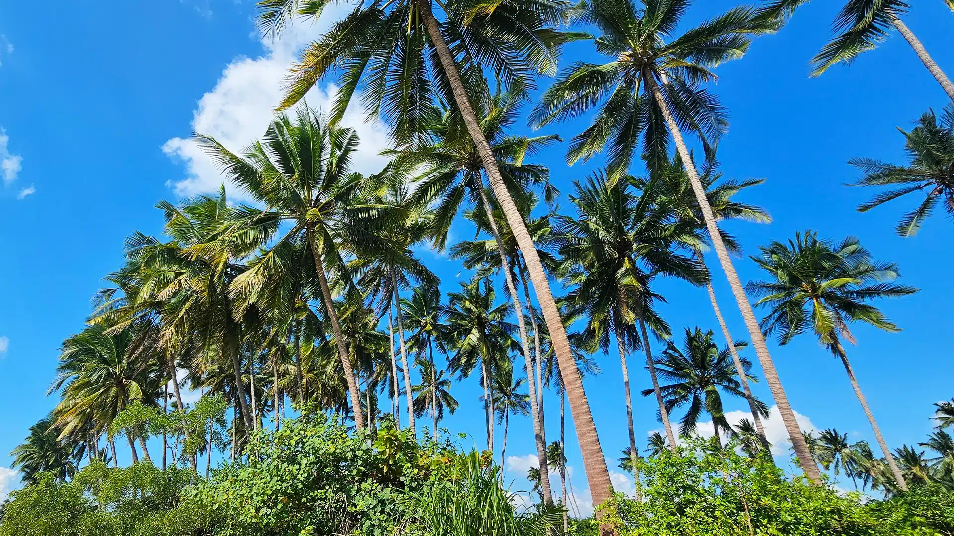 I-Talay Beach 3 | Sights on Koh Samui
