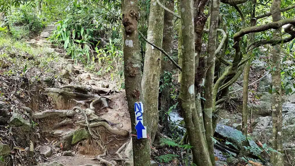 Namuang Wasserfall 2 - 12 | Sehenswürdigkeiten auf Koh Samui