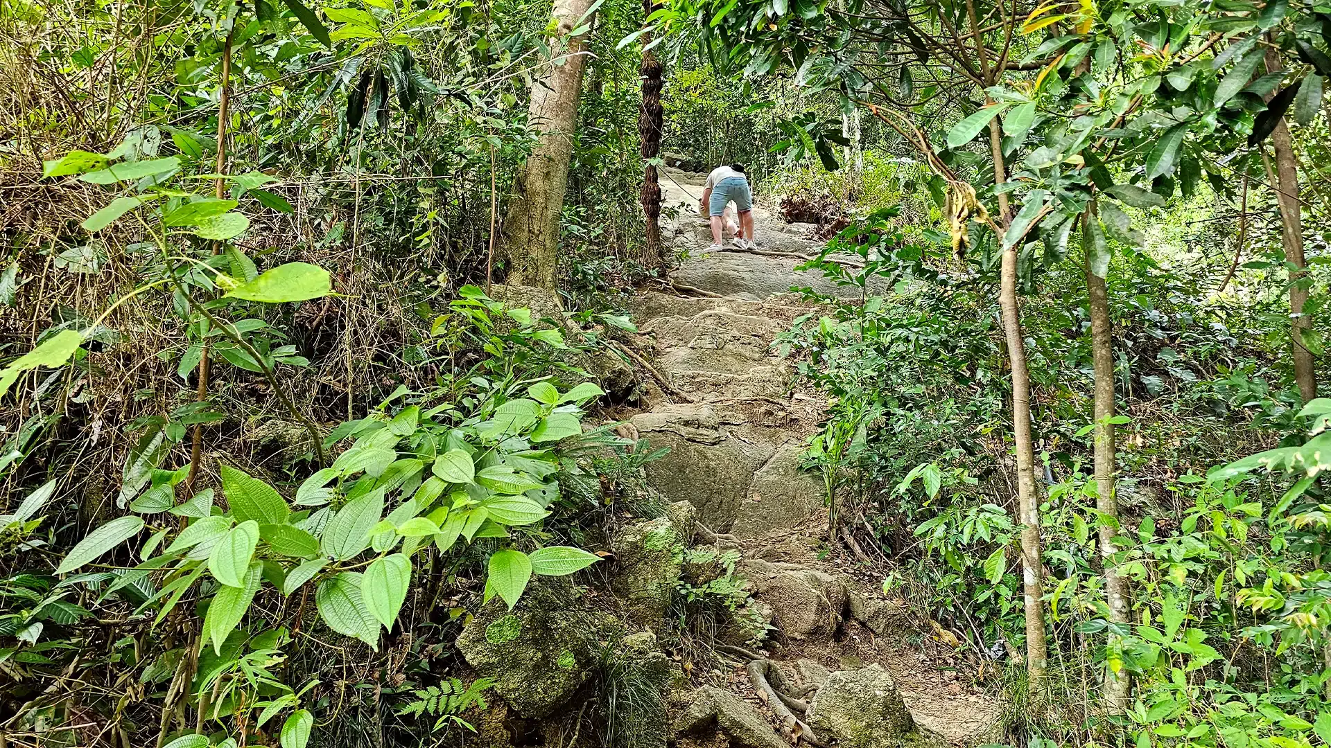 Namuang Wasserfall 2 - 17 | Sehenswürdigkeiten auf Koh Samui