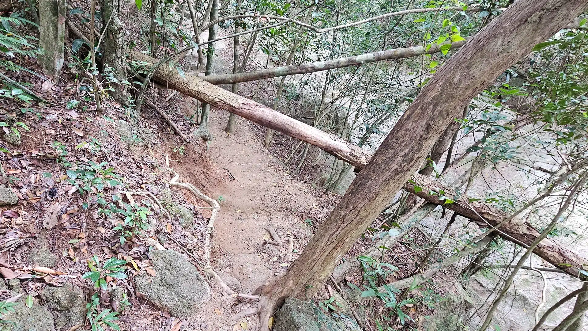 Namuang Wasserfall 2 - 8 | Sehenswürdigkeiten auf Koh Samui