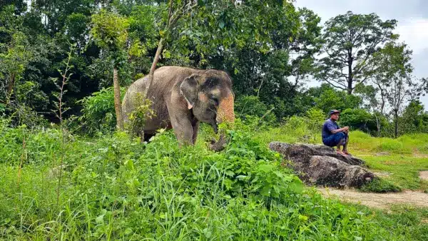 Freizeitaktivitäten in Thailand 2