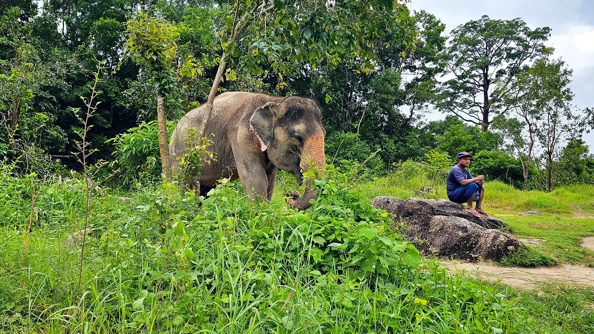 Freizeitaktivitäten in Thailand 2