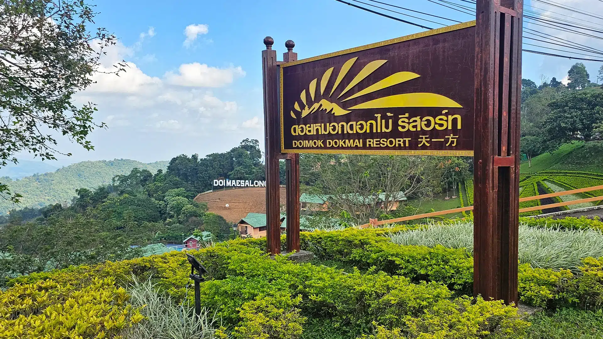 Mae Salong Flower Hills Resort 1 | Hotel recommendations Chiang Rai