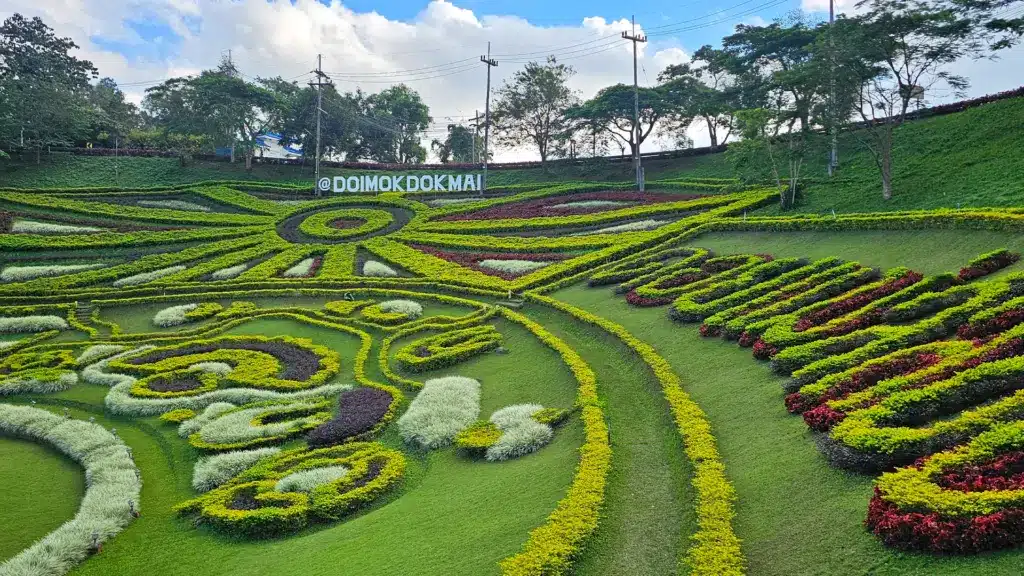 Mae Salong Flower Hills