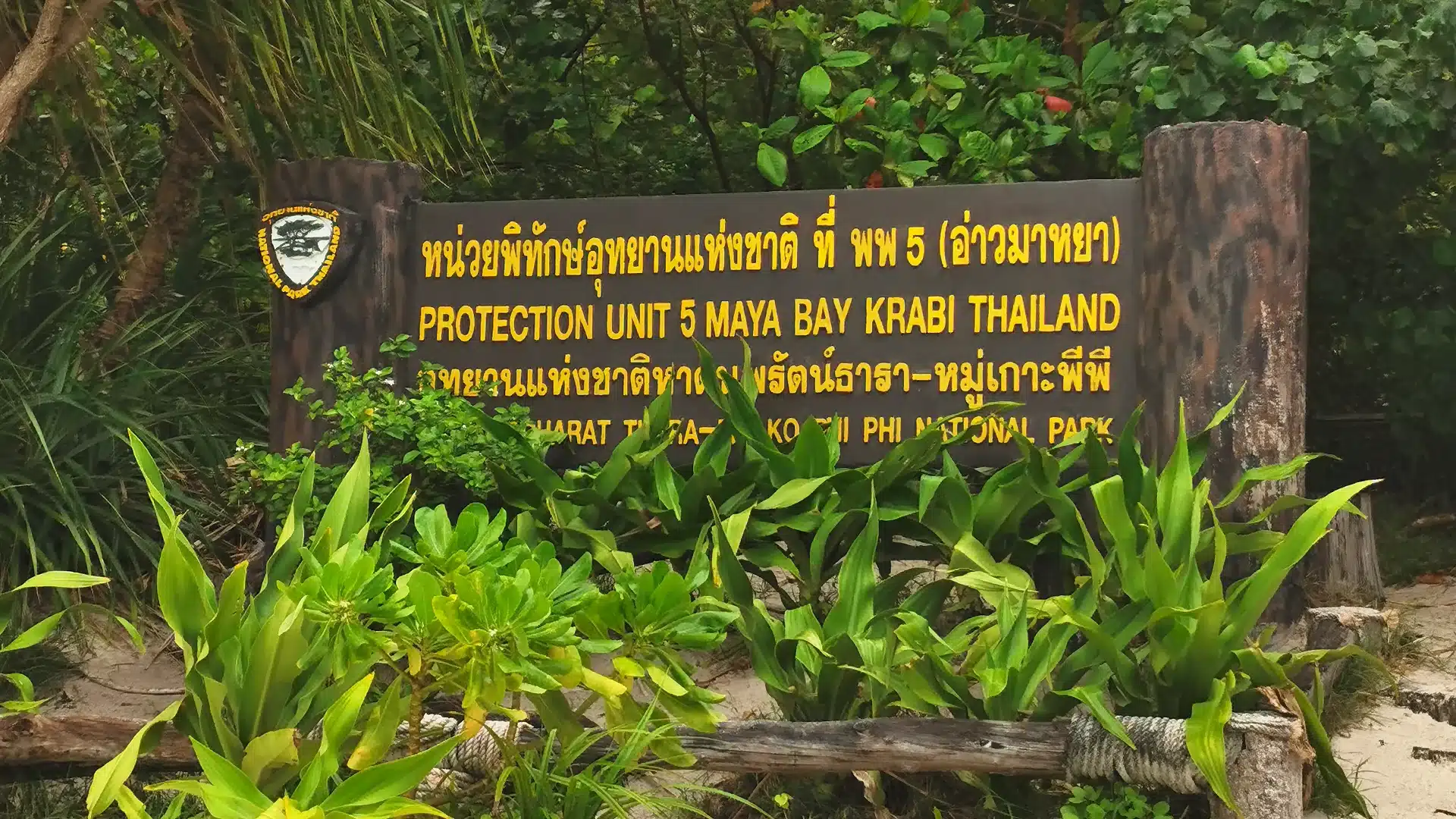 Maya Bay 9 | Sehenswürdigkeiten auf Koh Phi Phi