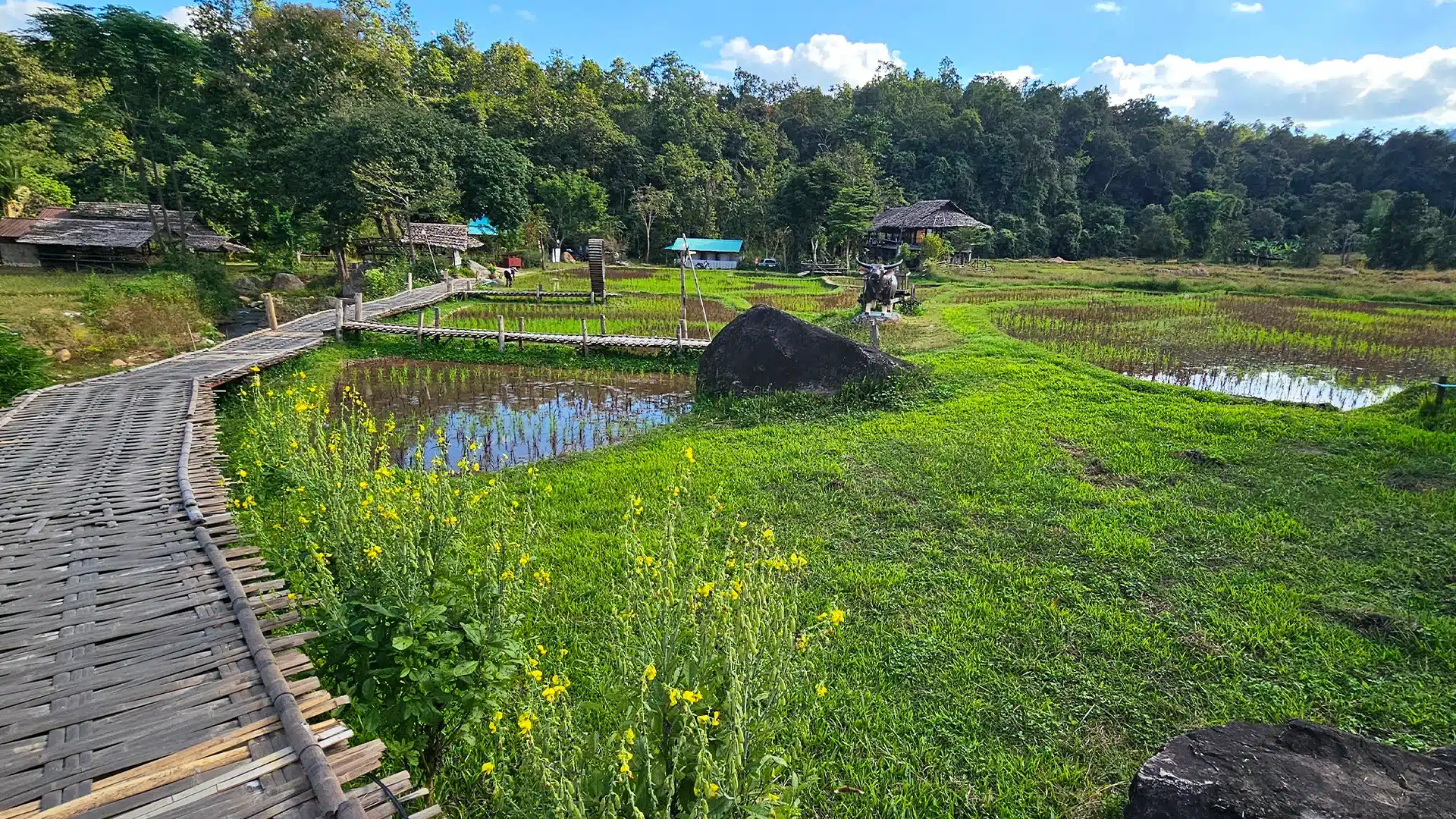 Kho Ku So Bamboo Bridge 24 | Sehenswürdigkeiten in Pai