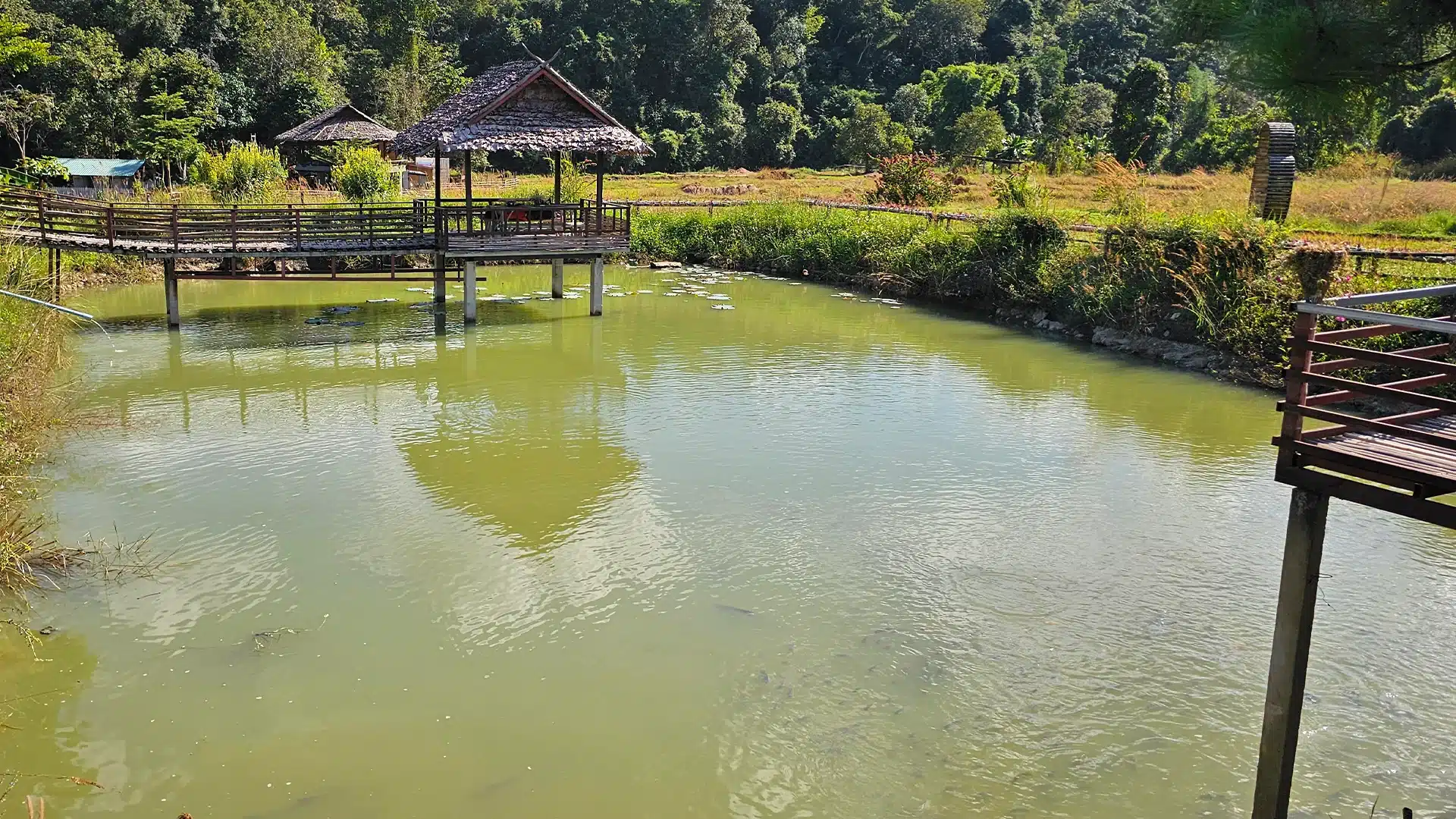 Kho Ku So Bamboo Bridge 8 | Sehenswürdigkeiten in Pai