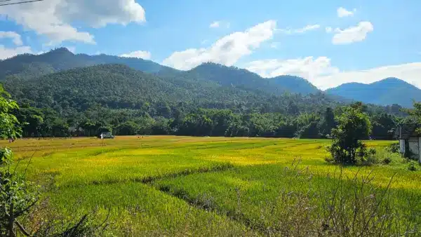 Pai My Guest Resort 4 | Hotelempfehlungen Pai