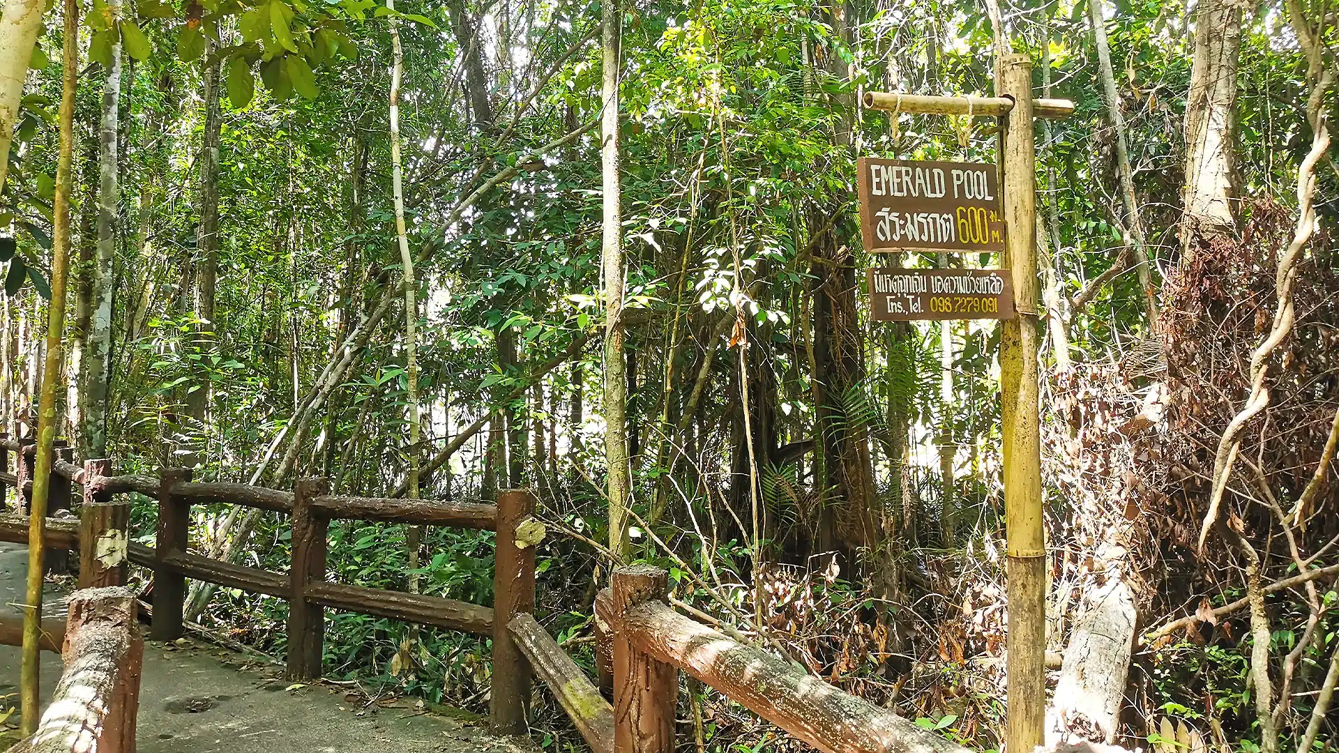Emerald Pool 6 | Sehenswürdigkeiten in Krabi