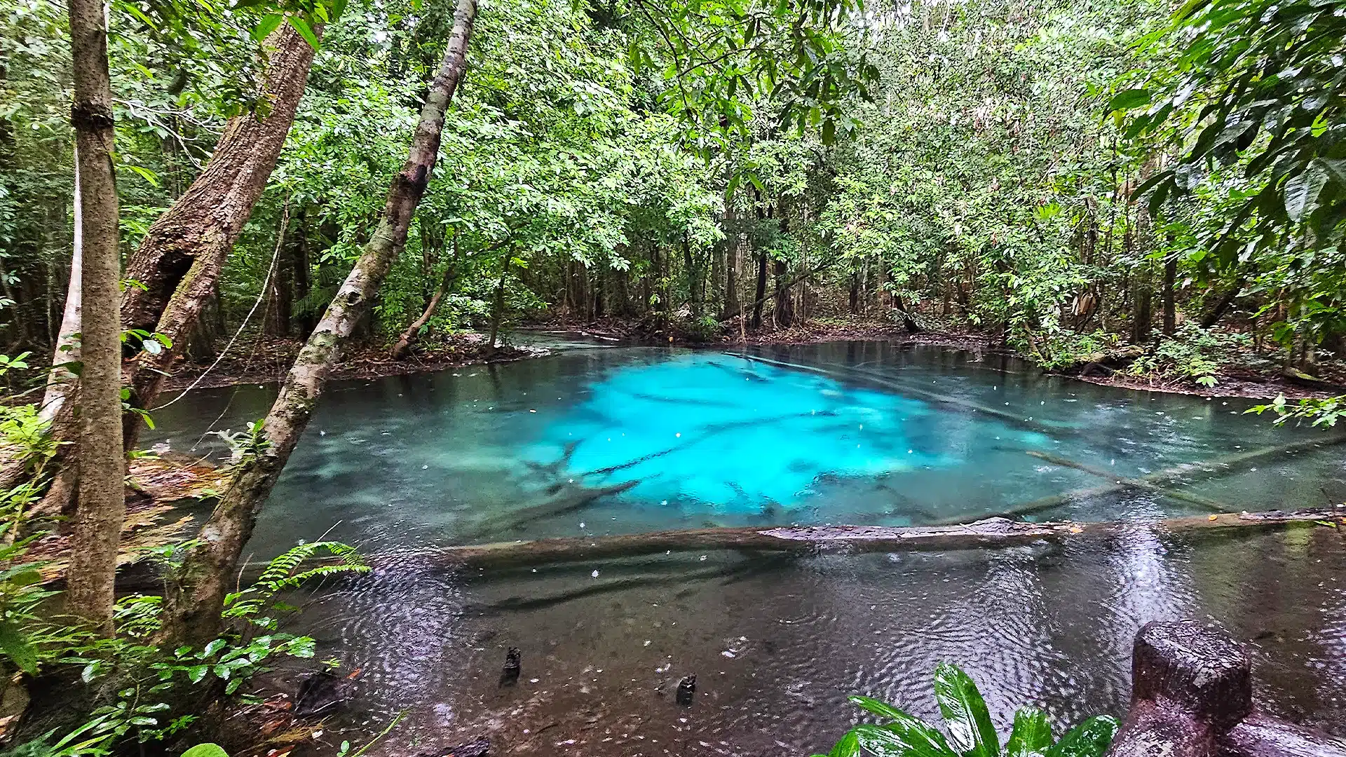Emerald Pool 8 | Sehenswürdigkeiten in Krabi