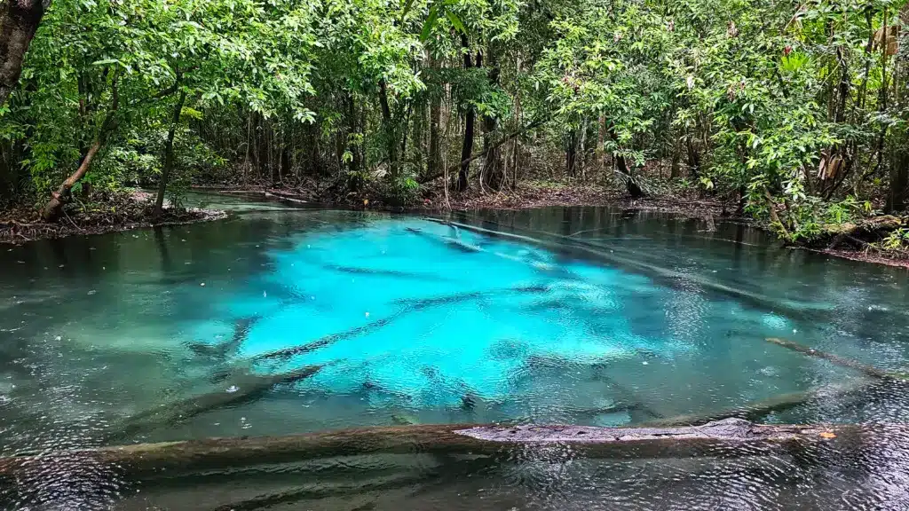 Emerald Pool 9 | Sehenswürdigkeiten in Krabi