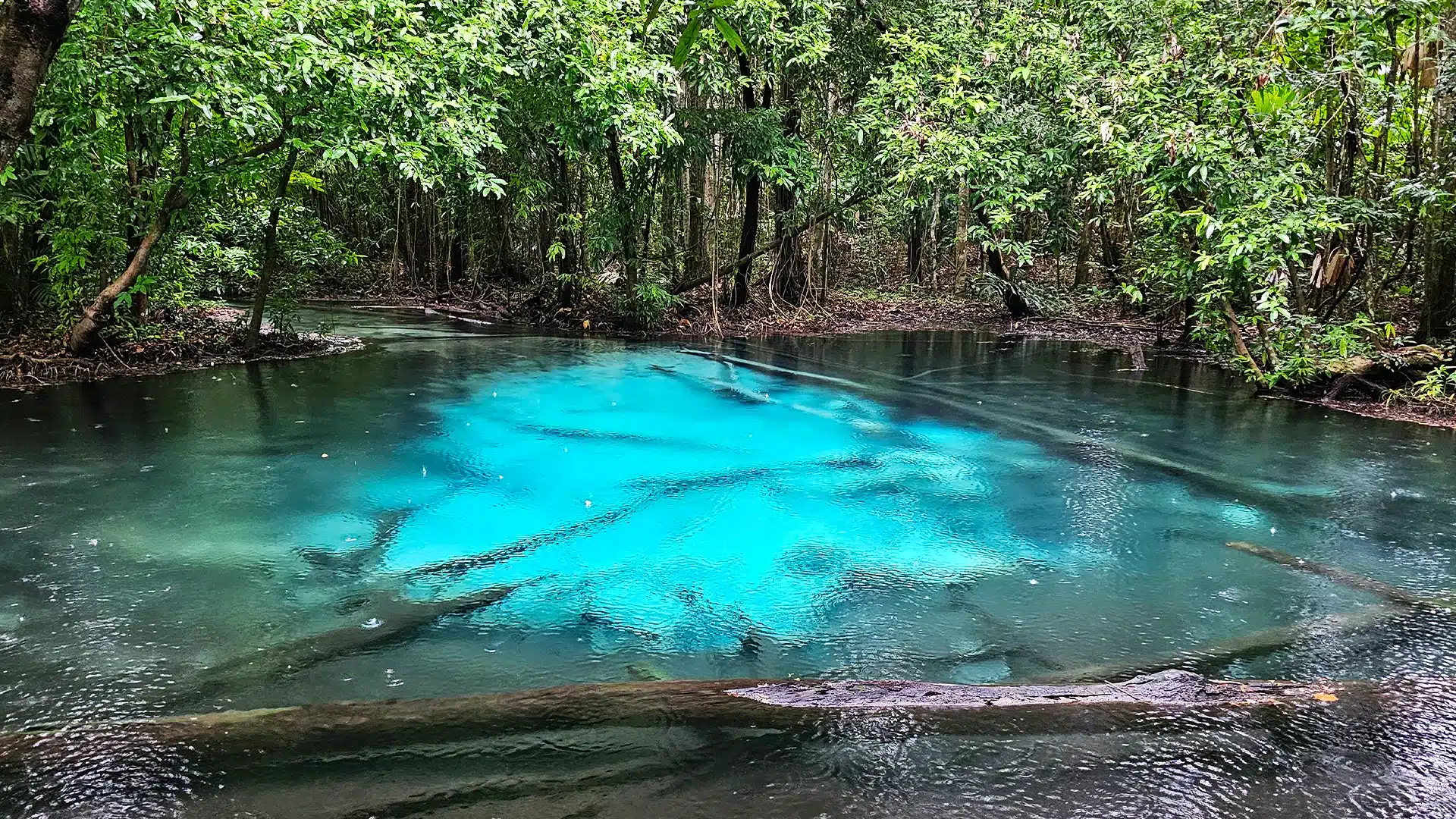 Emerald Pool 9 | Sehenswürdigkeiten in Krabi